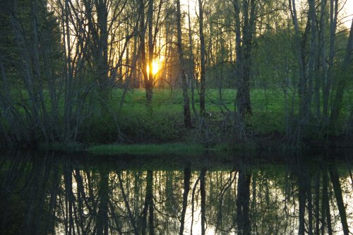 IMGP4347